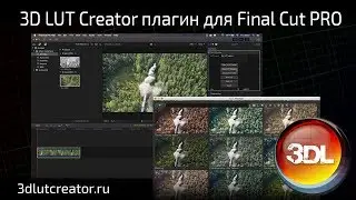 Плагин 3D LUT Creator для Final Cut PRO