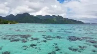 Our Panoramic Overwater Bungalow at Hilton Moorea