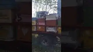 Последний день лета