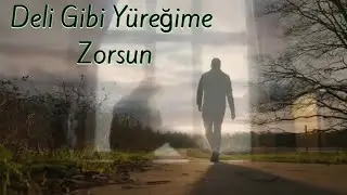 Deli Gibi Yüreğime Zorsun - Cover