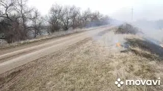 ЗМЕИ !!! наовдим порядок на поле. 11.03.2021