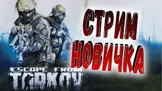 ESCAPE FROM TARKOV! СТРИМ НОВИЧКА! КАЧАЕМ ПЕРСА  И УБЕЖИЩЕ!
