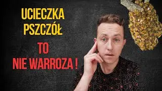 Jaki jest powód ucieczki pszczół jesienią?