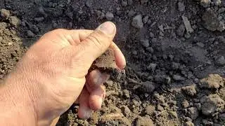 Холодно а ми сієм Сайберік