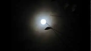 Một Mình - Hồng Nhung