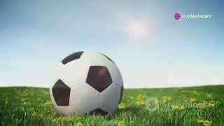Soccer 101: A Young Athlete's Guide