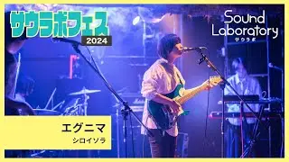 【サウラボフェス vol.1】LIVE映像「エニグマ」 - シロイソラ【サウラボ】