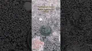 Финский ,,шюцкор,, в Карельских лесах. #карелия #лес #история