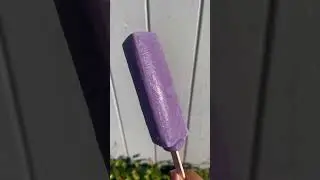 Melona Ube Ice Cream Bars 😋🍦💜