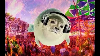 Seals' rave - by THICC seals feat. even more seals