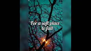 Runaway | Aurora | Lyrics
