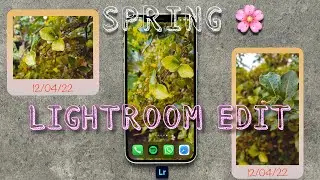 Warm Spring Mood Edit |  Lightroom Mobile