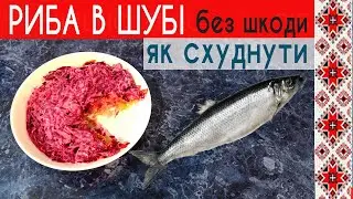 Оселедець під шубою рецепт