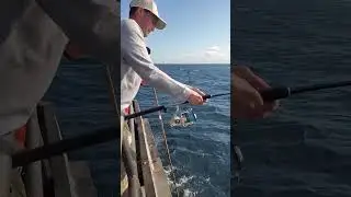 double header two more yellowfin hit the deck