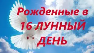 Рожденные в 16 лунный день. Люди 3 фазы Луны