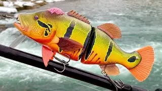 Making a Gnarly Peacock Bass SwimBait