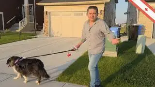 Inmigración y vida en Canada - 2024 y 2025 - 🇨🇦 Canada
