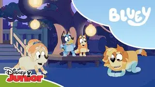 🐶 La joacă cu familia Heeler | Blue | Disney Junior România