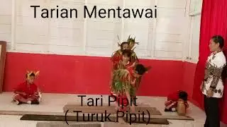 Tarian Mentawai-tari pipit#mentawai#mentawai#sikakap