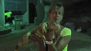 Batu Caves Kuala Lumpur by Barb & Ernie