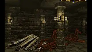 Gameplay 