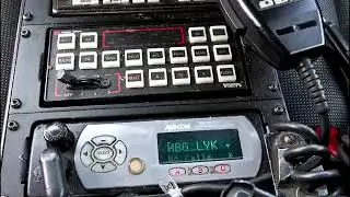 Мойдодыр 2 2 8 ЧТО ЕСЛИ ШКОЛЬНИКИ РАБОТАЛИ В ПОЛИЦИИ