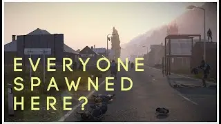 The Night EVERYONE spawned in Kammi #dayz