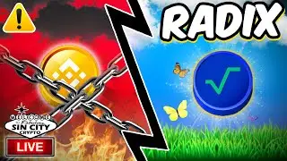 Binance US Assets in Danger! | Radix Spotlight