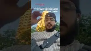 La tela 🪡en Moscú 🇷🇺 