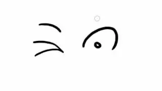 winking.avi