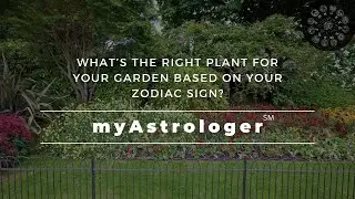 What’s the right plant for your garden based on your zodiac sign?