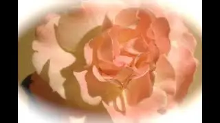 Connect & Glow: All Heart
