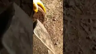 The moment of finding a magical treasure with a demon 