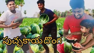 Watermelon Theft funny video #funny #watermelon #viral #theft