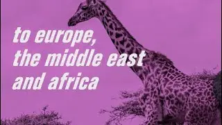 Get Ready for VGHC EMEA!