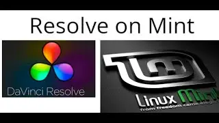 Install DaVinci on Linux Mint just copy and paste