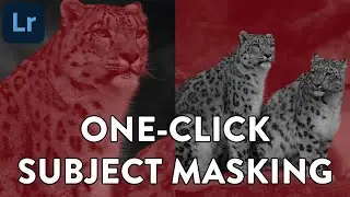 How To Use SUBJECT MASKING To Instantly Create BETTER PHOTOS! (Lightroom Update!)