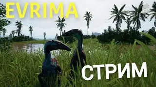 НОВОЕ ОБНОВЛЕНИЕ 6.5. THE ISLE EVRIMA. СТРИМ. #theisleevrima