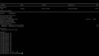 Linux system configuration check