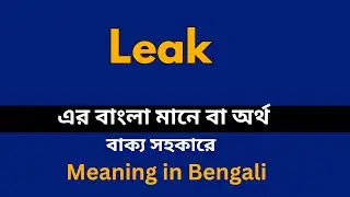 Leak Meaning in Bengali /Leak শব্দের বাংলা ভাষায় অর্থ অথবা মানে কি