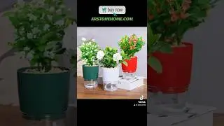 ArStoreT™ offer a stylish design to complement any indoor or outdoor space 