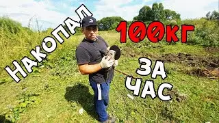 Выезд на коп / На Ниве / Снова подкова / Металлокоп / МД
