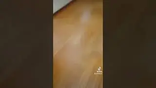 Робот-пылесос Philips PS8794 - троллю пылесос. )))