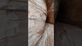 5 D - Казематы