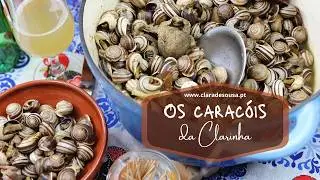 Clarinha's Snails