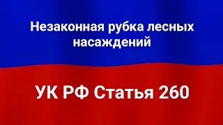 Незаконная рубка лесных насаждений.