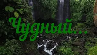 Чудный...  Лидия Шварц, Анна Хофманн, Елена Крупская.( автор неизвестен.)