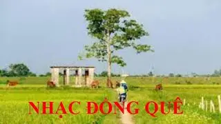 ✅ Nhạc đồng quê l Nhạc không lời l Hòa tấu guitar l Play list 21