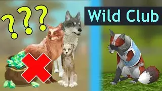 ПОДПИСКА WILD CLUB ЗАКОНЧИЛАСЬ! Пропадут вещи, логово или нет? Ответы на вопросы в WildCraft!