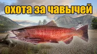РР4 СТРИМ • ЛОВИМ НА ЯМЕ ЧАВЫЧУ •  РУССКАЯ РЫБАЛКА 4